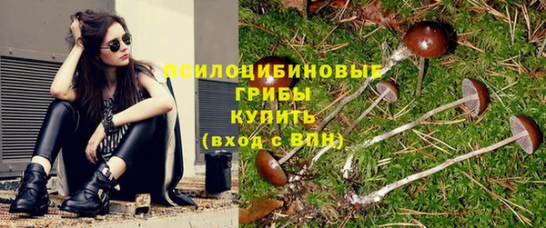 первитин Абинск
