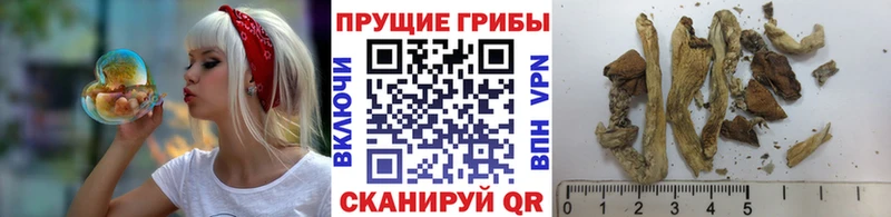Галлюциногенные грибы Magic Shrooms  наркотики  Нягань 