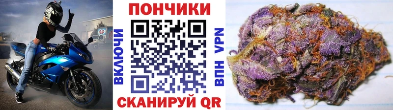 что такое   KRAKEN ТОР  Марихуана сатива  Нягань 